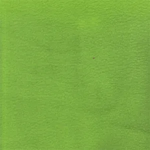 Lime Fleece Fabric