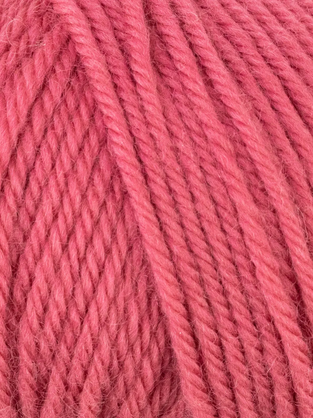 WYS Bo Peep Pure DK Yarn